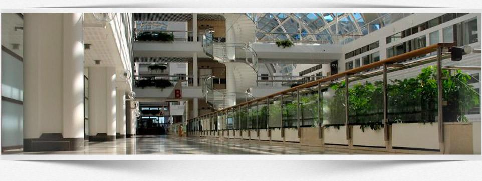 Limpiezas a fondo de garajes y naves industriales. Limpiezas a fondo de garajes y naves industriales.